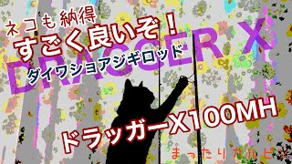 【ロッド新調釣り動画】ダイワショアジギロッドのドラッガーＸ買ったのでヒラメ狙って実釣・検証に行ってきましたよ。すごく使いやすい、これからのショアジギメインロッド間違いなし。車中泊・釣り好きおっさん動画