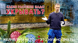 Какие растения НЕОБХОДИМО укрывать? Когда и при какой температуре?