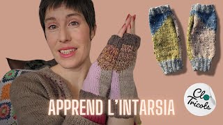 Knitting STEP BY STEP: Fingerless mittens with intarsia