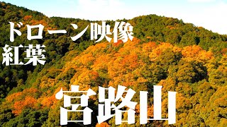 宮路山 ドローン映像 Mt.Miyajisan Drone video