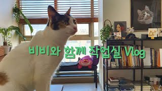 비비와 함께 작업실 나들이 했어요~😽