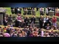 Charming Kitten (#15): 2013 Kentucky Derby Profile