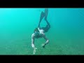 giant stingray tries to steal our fish