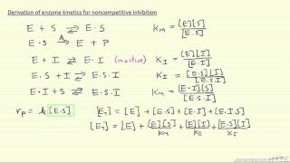 Derivation of Enzyme Kinetics for Noncompetitive Inhibition