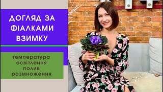 Догляд за фіалками в холодний період🌸як примусити фіалку квітнути