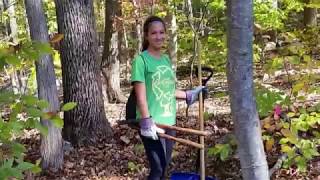 Steps of Building a Hiking Trail