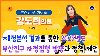 재정분석 결과를 통한 2025년도 부산진구 재정집행 방향과 정책 제언