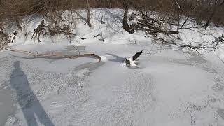 Trekking in the snow and ice around Frostburg