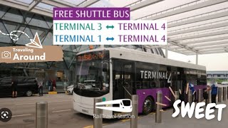 Traveling Around | Free Shuttle Bus from T4 to T1 at Changi Airport