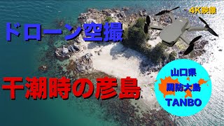 ドローン空撮 山口県周防大島町 - 干潮時の彦島(小島) - (2021年4月11日) 4K映像