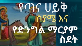 የጣና ሀይቅ ስያሜ ከድንግል ማርያም ስደት የመጣ ነው| Tana lake name