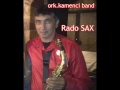 ork kamenci band 2013 saks rado