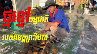 ថ្មខ្មៅធម្មជាតិរបស់ខេត្តព្រះវិហារ| Black Stone of Preah Vihea Province