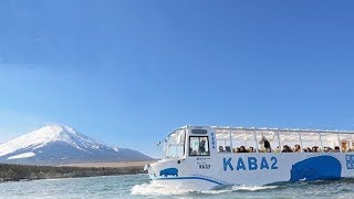 夏休み期間の3日間限定でホテルから山中湖へ水陸両用バス「KABA」が乗入れサービス！