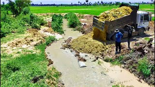 Nicely Job Start new project!5Truck LandFill Delete Sewer field,Skill Bulldozer Pushing Soil Perfect