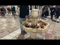 jerusalem december 26. evening at the western wall. the second day of hanukkah