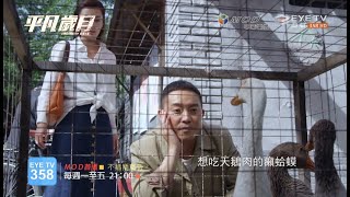 【平凡歲月】7/27 EYE TV戲劇台MOD首播 沙溢、徐梵溪、斯琴高娃主演