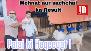 Palai Ka Sach | Palai ka Result aur Khulasa | JD Goat Farm