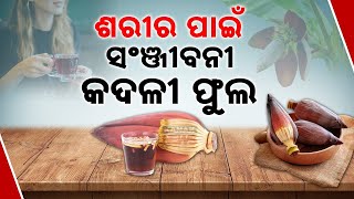 ଶରୀର ପାଇଁ ସଂଜୀବନୀ କଦଳୀ ଫୁଲ || Health Benefits Of Banana Leaf And Peel || Kanak News Digital