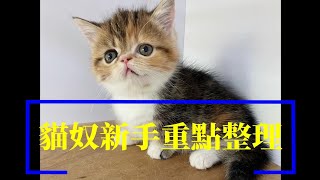 貓奴新手照顧及準備重點整理Key points of raising cats動物專輯.狗.貓