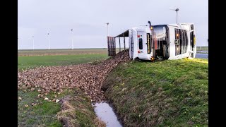 Vrachtwagen met bieten kantelt bij de Eemshaven