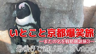 【大満足】京都最終日も満腹で大満足、可愛いペンギンとオオサンショウウオで目もお腹いっぱい大満足旅vlog