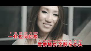 Guo Lu De Wan Feng  ( 過路的晚風 )  REMIX - Karaoke ( Music only )
