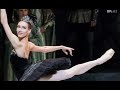 ballerina profile olga smirnova