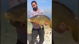 Caught 20KGFish at Mangla Dam Part 3|#shorts #shortsvideo #fishing #fishinglife#fishingaddict