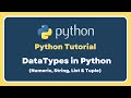 Part 2 | Selenium With Python Tutorial For Beginners | Data Types In Python With Practical Example