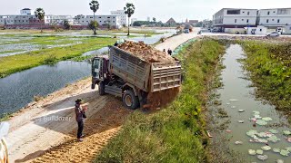 Start a new project!! Dump Truck Unloading soil into Pond with Bulldozer