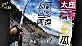 釣魚狂人4K 太座大人，指導釣魚，夫唱婦隨 Stream Fishing Taiwan