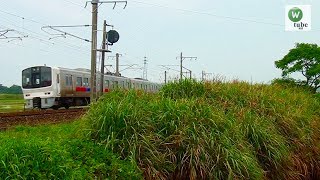 【JR鹿児島本線】811系8両編成(未更新車)　真夏のススキ原を駆け抜ける JR Kyushu series811 running