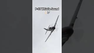 P-51 Mustang Whistle Sound 🎶 #aviation #airplane