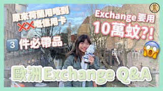 【歐洲Exchange必看】荷蘭Exchange總共花了幾錢？💸 如何拿5萬獎學金？🤑｜後悔住雙人房了😭｜環遊13個國家✈️必去國家推薦！｜遊炸鬼 Fried Ghost