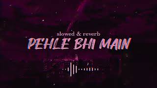 Pehle Bhi Main (Slowed + Reverb) LOFI | Vishal Mishra | Animal | AYAN