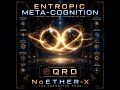 Entropic Metacognition