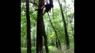 Advanced tree climbing and prunning