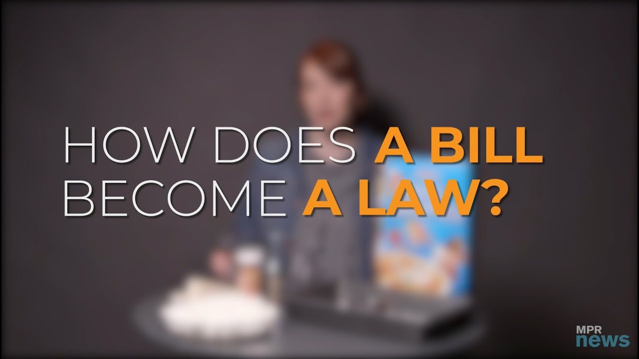 Legislature Explained: How A Bill Becomes A Law In Minnesota - YouTube