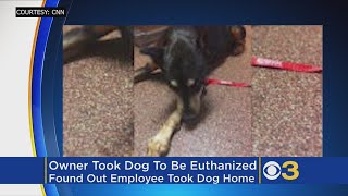 Police: Dog Brought Into Vet To Be Euthanized Found Alive 5 Months Later