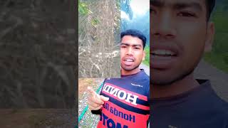 বাঘ-সিংহ আছে পাম বাগানে #shortvideo #short