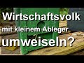 Anfängertipp: Wirtschaftsvolk mit kleinem Ableger vereinigen und umweiseln?