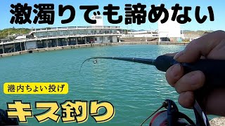 【キス釣り】激濁りだったので港内でちょい投げしてみました