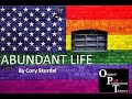 Abundant Life - What's the play about?