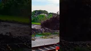 Mxtube.net :: Lebok sumber agung Cepu Jawa tengah porno Mp4 3GP ...