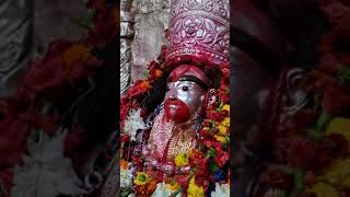 AAJ KADARSHAN| #TARAPITH LIVE | TARAPITH OFFICIAL |TARAPITH TEMPLE | TARAPITH BIRBHUM