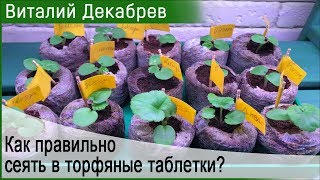 КАК ПРАВИЛЬНО СЕЯТЬ В ТОРФЯНЫЕ ТАБЛЕТКИ?