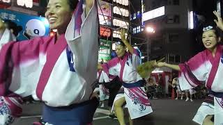 ４２　高円寺阿波踊り　天翔連　2017　2日目