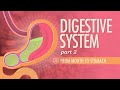 Digestive System, Part 2: Crash Course Anatomy & Physiology #34