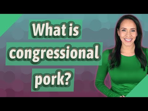 What is a pork barrel project quizlet?